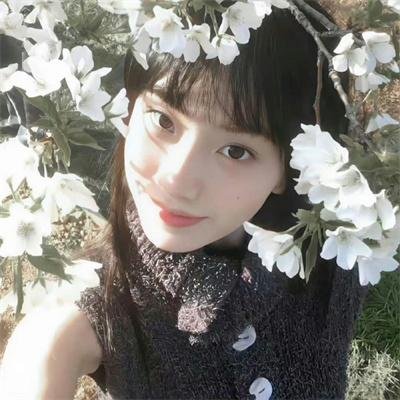 玻璃之花与坏掉的世界